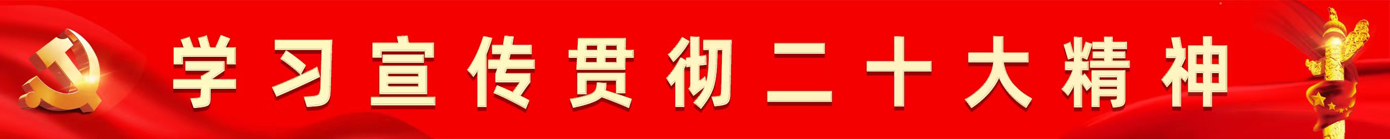 喜慶二十大